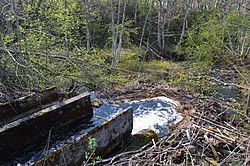 Kolga oja väljavool Krabi Veskijärvest