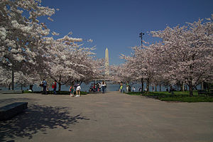 Washington Monument F9K60103.jpg