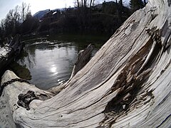 Wenatchee River at Blackbird Island Leavenworth Washington 4.jpg