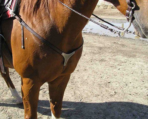 A western style breastplate, usually referred to as a breast collar