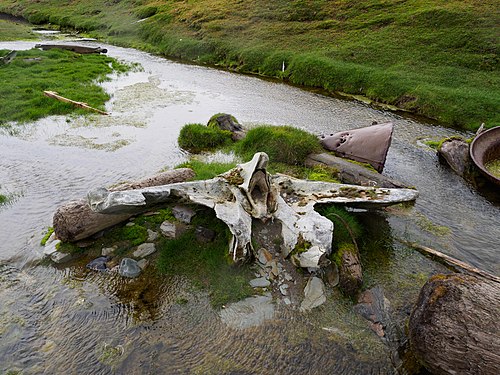 Whale bone lying near the remains of the abandoned whaling station at Bjørnøya