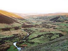 The bank of the Whiteadder Water in Scotland is one of the few known localities bearing fossils of tetrapods from Romer's gap. Whiteadder Water - geograph.org.uk - 167921.jpg