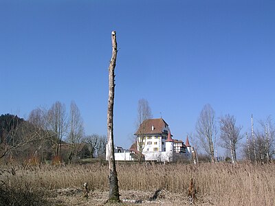 Wyhermoos mit Totholz, Starennistort und Schloss Wyher