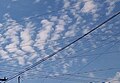 Altocumulus undulatus clouds, zoomed in