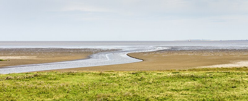 File:Zwarte Haan (Waadhoeke), 14-08-2023. (actm.) 16.jpg