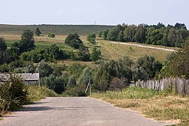 Д.Перово (2010.07.25) - panoramio.jpg