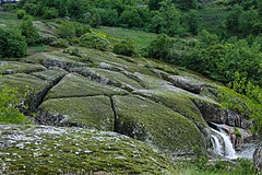 Что такое урочище простыми словами. Урочище Шишковичи. Урочище фото. Подурочища. Урочище это в географии.