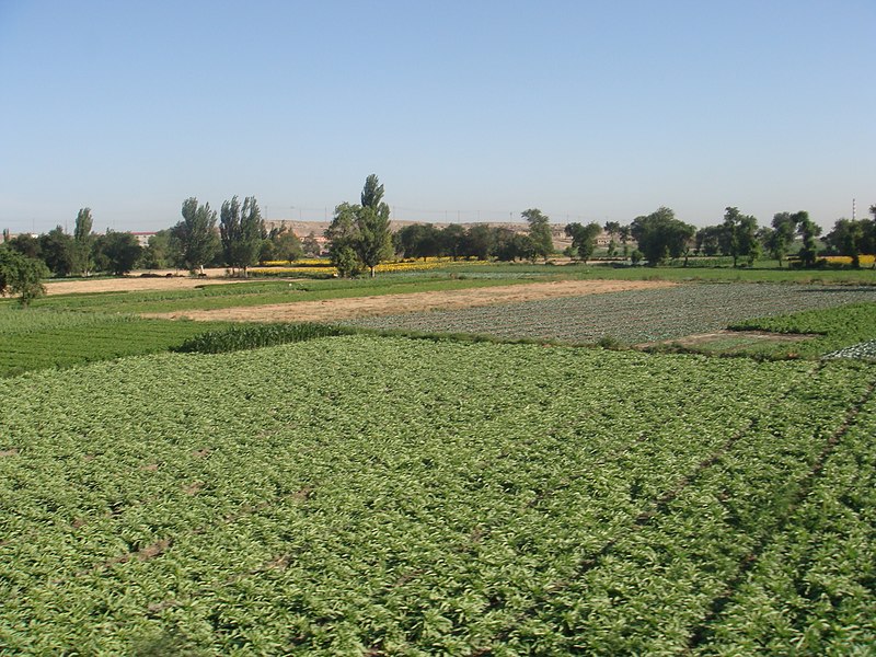 File:乌鲁木齐.米东区 China Xinjiang Urumqi Welcome you to tour th - panoramio.jpg