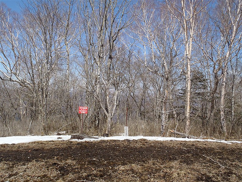 File:日陰名栗山 2012-04-08 - Mt. Hikagenaguri - panoramio.jpg