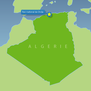 0103 GM Algerian National Parks Chrea National Park 01.png