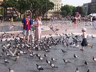 Plaza Cataluña