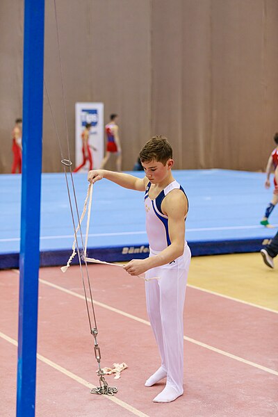 File:15th Austrian Future Cup 2018-11-24 William Hyll (Norman Seibert) - 10972.jpg