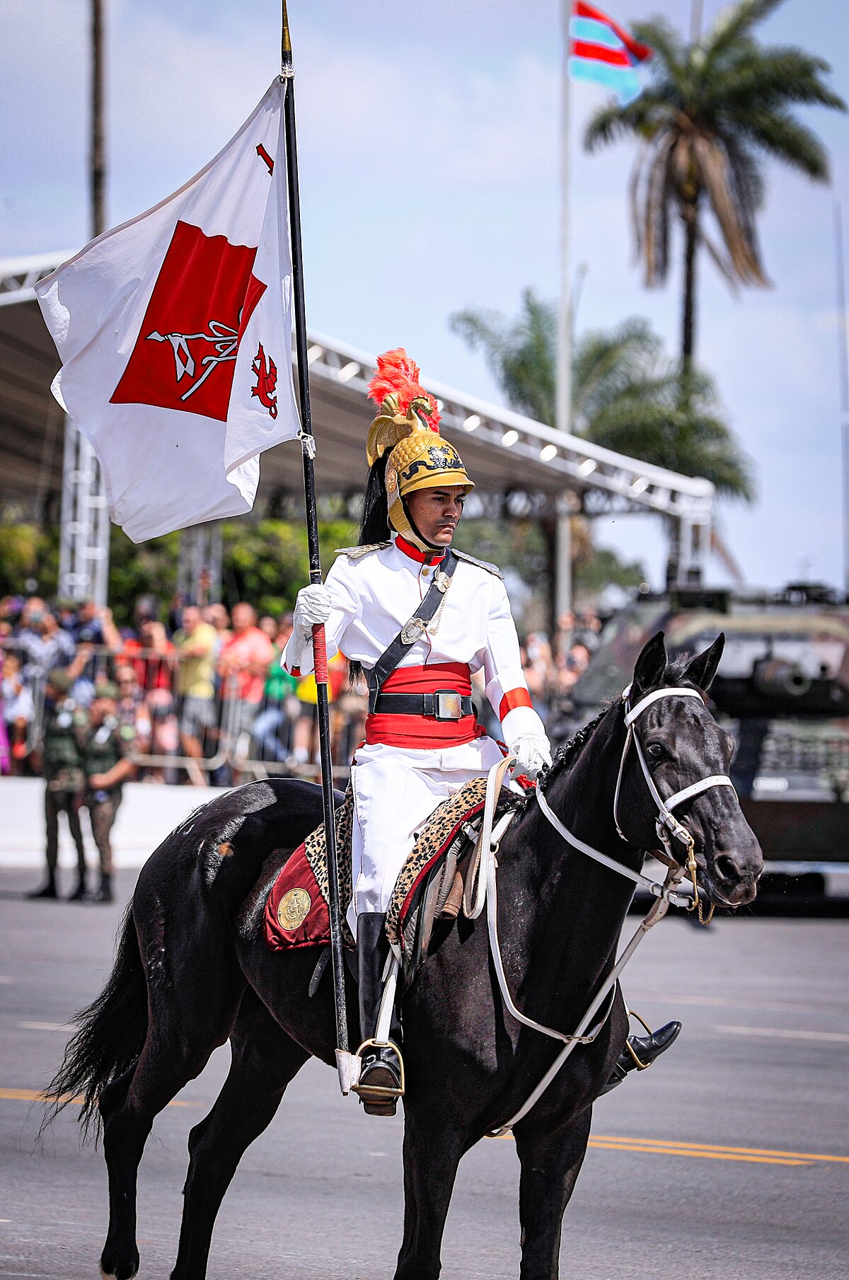 File:19 04 2022- Dia do Exército Brasileiro (52016566541).jpg - Wikimedia  Commons