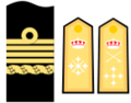 Capitán general (Armada)