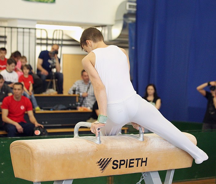 File:2019-05-25 Budapest Cup age group III all-around competition pommel horse (Martin Rulsch) 075.jpg