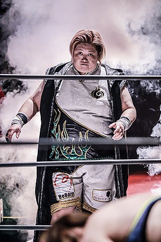 <span class="mw-page-title-main">Kaoru Ito</span> Japanese professional wrestler