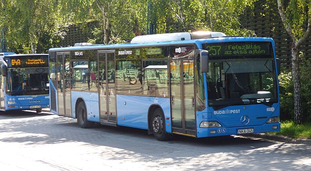 257-es busz a Hűvösvölgy végállomáson