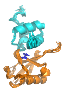 Protein domain - Wikipedia