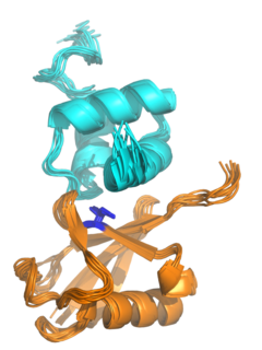 <span class="mw-page-title-main">UBA protein domain</span>