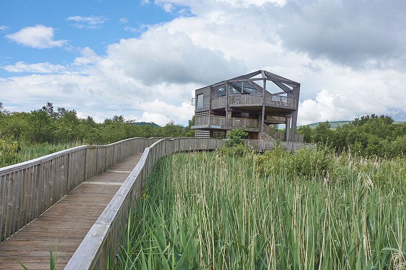 File:360 view hide, Cors Dyfi nature reserve.jpg