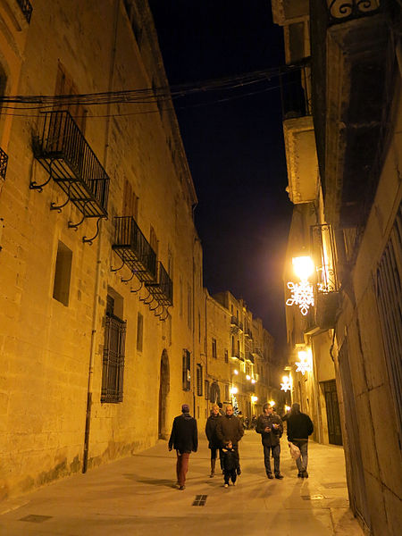 File:383 Carrer de la Cruera, Palau Episcopal (Tortosa).JPG