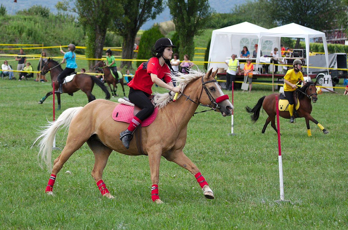 File:4ème manche du championnat suisse de Pony games 2013 - 25082013 - Laco...