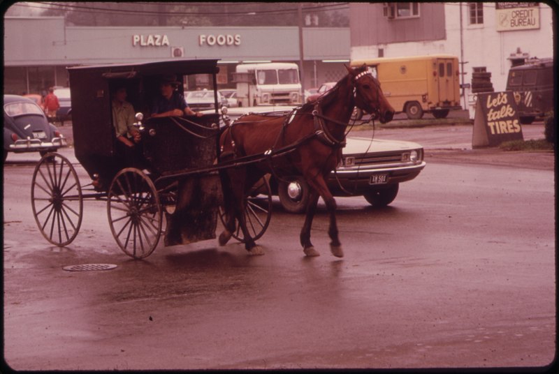 File:AMISH HORSE AND BUGGY MOVES OUT SMARTLY ON A STREET IN DOWNTOWN MIDDLEFIELD - NARA - 550087.tif