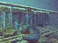 A Lionfish at the wreck of Zenobia, Cyprus (42757476015).jpg