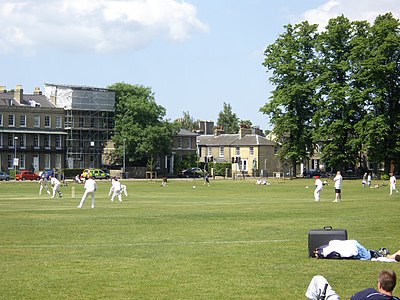 A cricket match on Parker