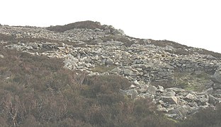 A group of huts on the SW side of the fort - geograph.org.uk - 710391.jpg