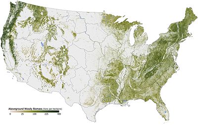 Map of wood-filled areas in the United States, circa 2000 Aboveground Woody Biomass in the United States 2011.jpg