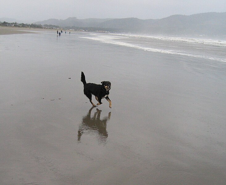 File:Agate Beach, Oregon (April 2005).jpg