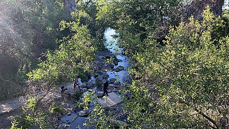 Almaden LosAlamitosCreek