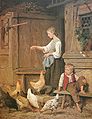 Dívka krmící kuřata