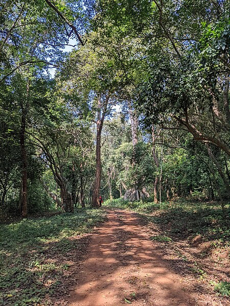 File:Aralam Wildlife Sanctuary during Annual Butterfly Survey 2022 (183).jpg