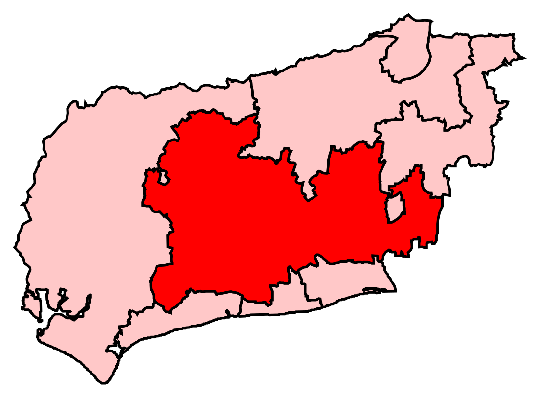 Arundel and South Downs (circonscription du Parlement britannique)