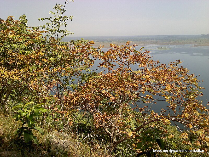 File:Atop Nagarjuna Hill - panoramio.jpg