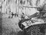 A light tank moves through a palm grove with infantry