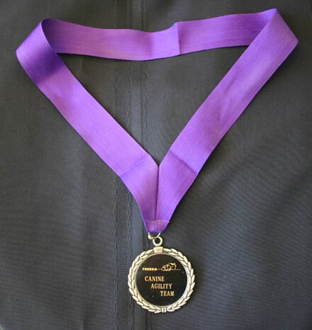 A medal on a ribbon designed to be worn around the winner's neck.