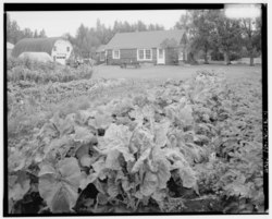 BARN AND HOUSE, WITH VEGETABLE GARDEN IN FOREGROUND - Farm, Glenn Highway and Scott Road, Palmer, Matanuska-Susitna Borough, AK HABS AK,13-PALM.V,5-1.tif