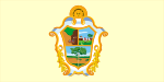 Bandeira de Manaus.svg