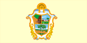 Bandeira de Manaus