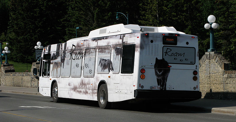 File:Banff Alberta Rom bus wolf.jpg