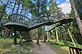 Baumkronenweg im Jeli-Arboretum