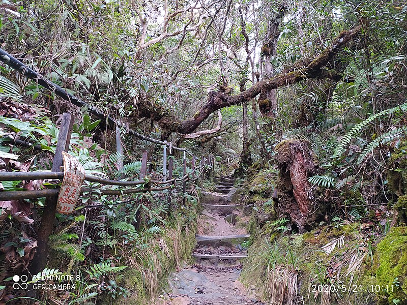 File:Beautiful Scenery of the Trail of Mount Kinabalu.jpg