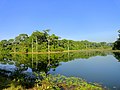 ১৪:১৯, ৩১ মে ২০১৮-এর সংস্করণের সংক্ষেপচিত্র