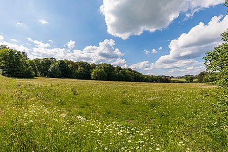 Bermershube bei Heisterberg 1