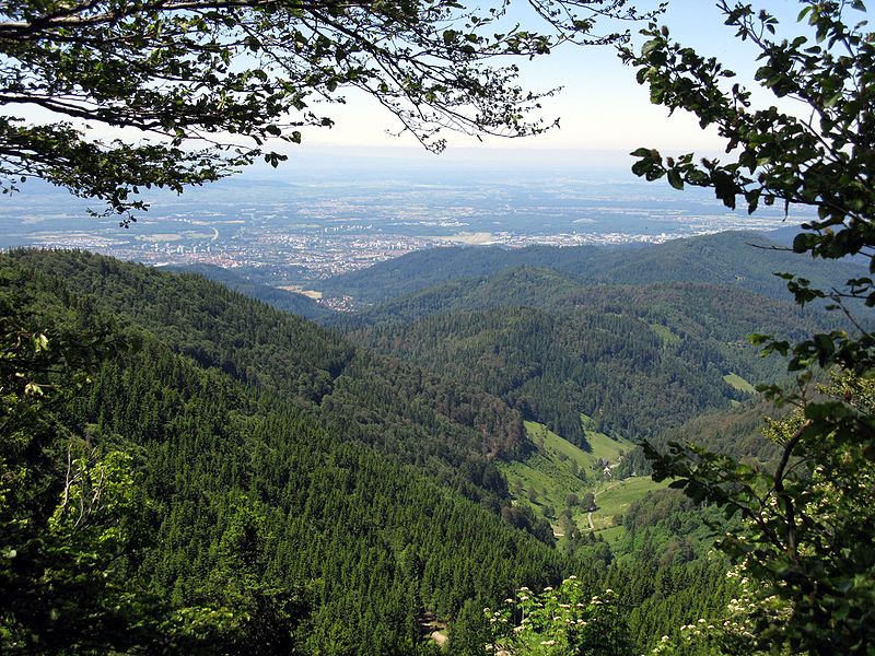 File:Blick vom Schauinsland ins Kappeler Tal, im Hintergrund Freiburg.jpg