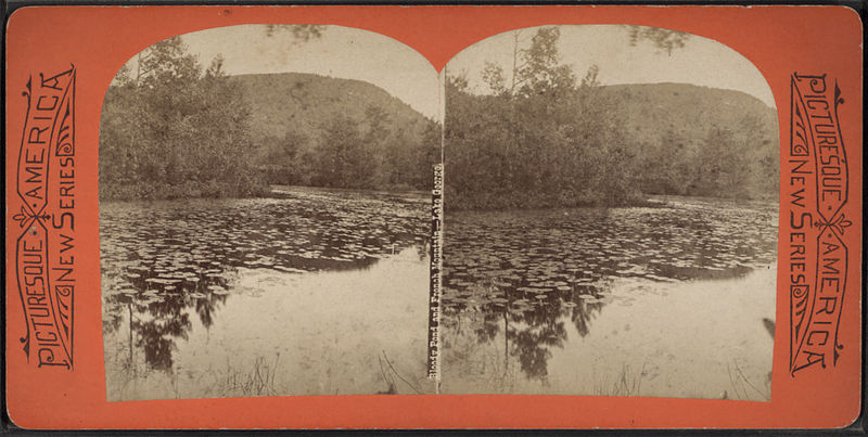 File:Bloody Pond and French Mountain, Lake George, from Robert N. Dennis collection of stereoscopic views.jpg