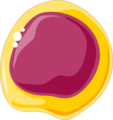 Bone degrading cells - Osteoclast progenitors